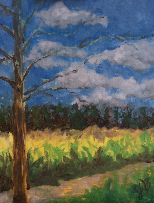 Windy Corn by the Creek