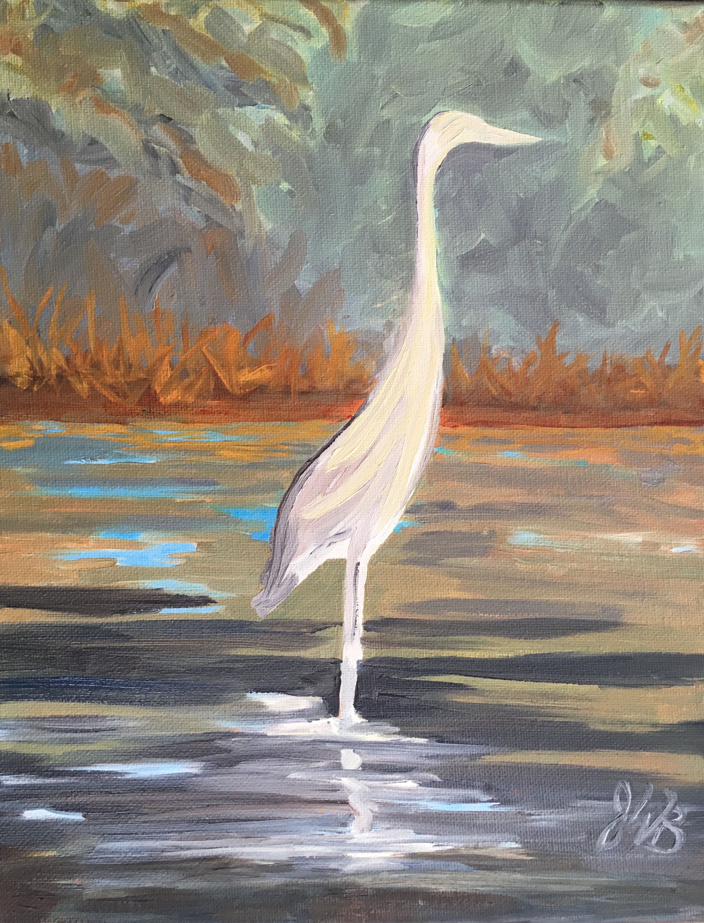 Eastern Shore Heron.jpg